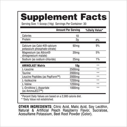 AminoLast – BCAA Superfuel for Recovery & Endurance - Gaspari Nutrition - #tag1# - #tag2# - #tag3# - #tag4#